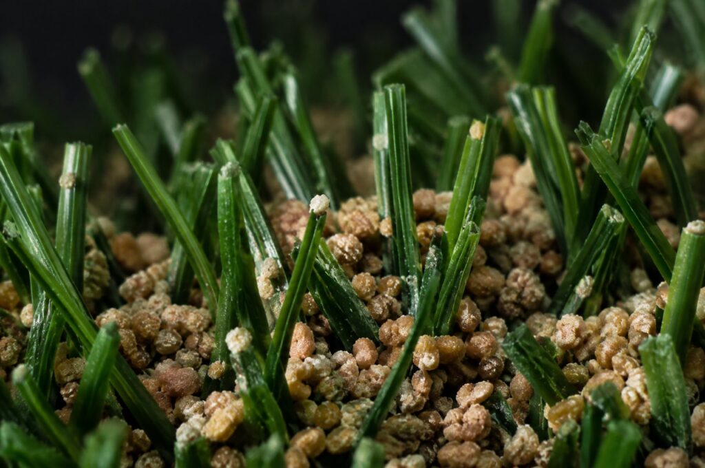 Coated infill sand granules between synthetic turf blades